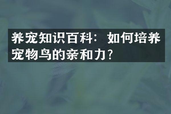 养宠知识百科：如何培养宠物鸟的亲和力？