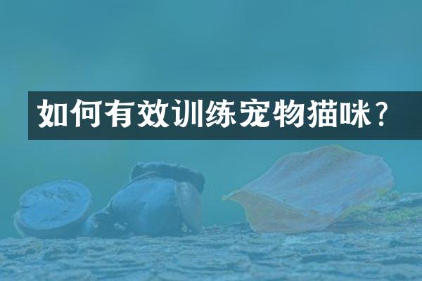 如何有效训练宠物猫咪？