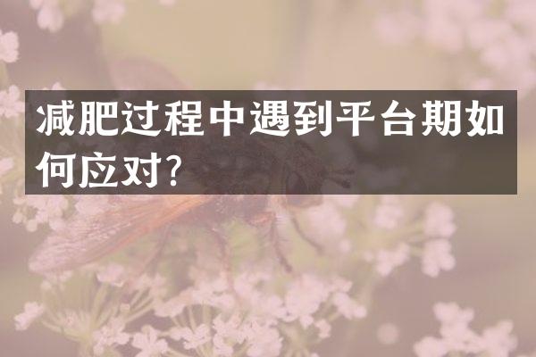减肥过程中遇到平台期如何应对？