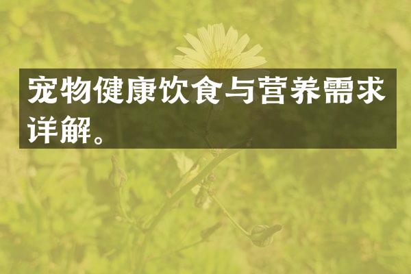 宠物健康饮食与营养需求详解。