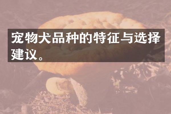 宠物犬品种的特征与选择建议。