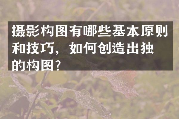 摄影构图有哪些基本原则和技巧，如何创造出独特的构图？