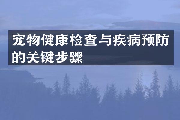 宠物健康检查与疾病预防的关键步骤