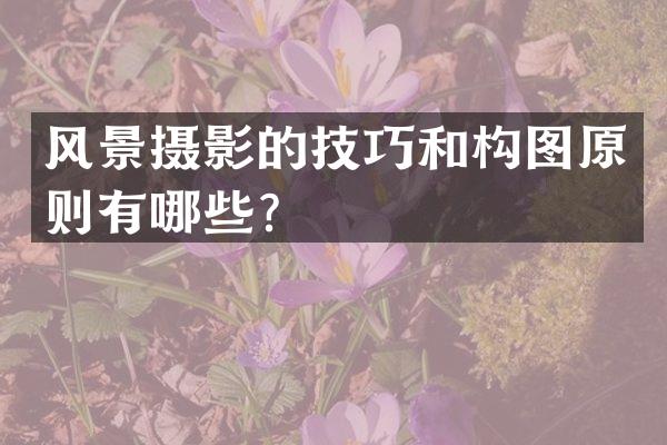 风景摄影的技巧和构图原则有哪些？