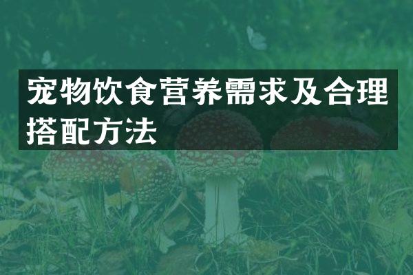 宠物饮食营养需求及合理搭配方法