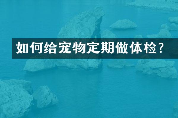 如何给宠物定期做体检？