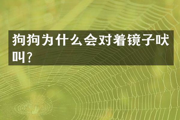 狗狗为什么会对着镜子吠叫？