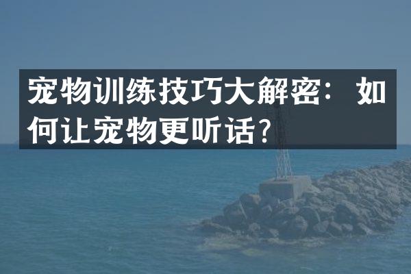 宠物训练技巧大解密：如何让宠物更听话？