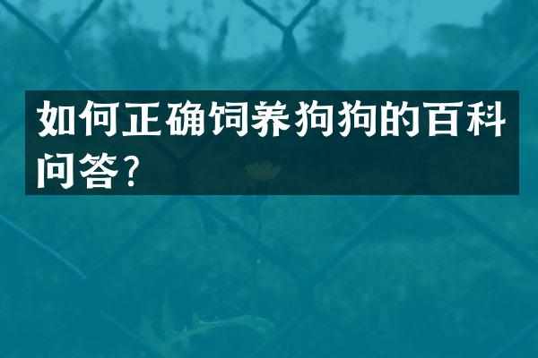如何正确饲养狗狗的百科问答？