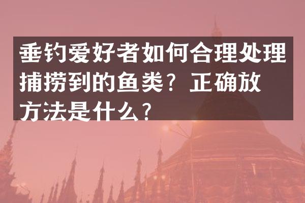 垂钓爱好者如何合理处理捕捞到的鱼类？正确放生方法是什么？