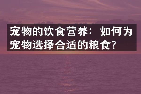 宠物的饮食营养：如何为宠物选择合适的粮食？