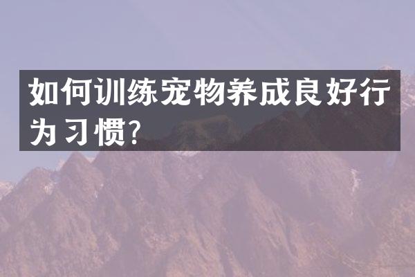 如何训练宠物养成良好行为习惯？