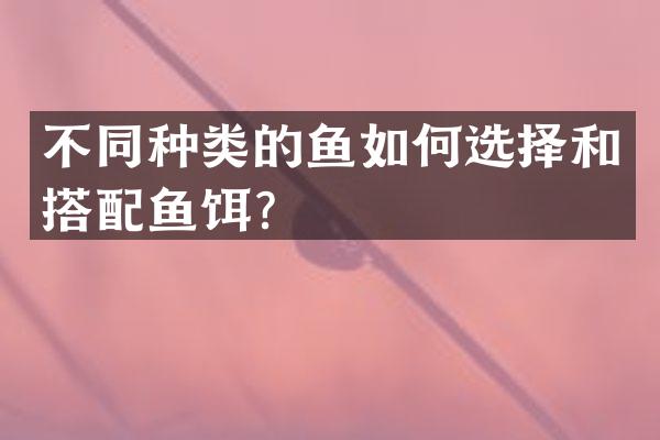不同种类的鱼如何选择和搭配鱼饵？