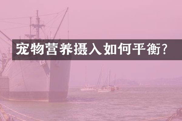 宠物营养摄入如何平衡？