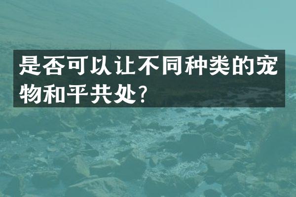 是否可以让不同种类的宠物和平共处？
