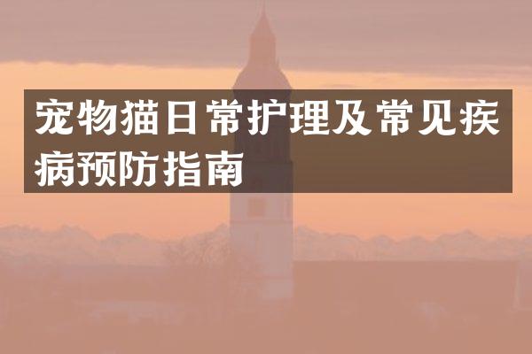 宠物猫日常护理及常见疾病预防指南