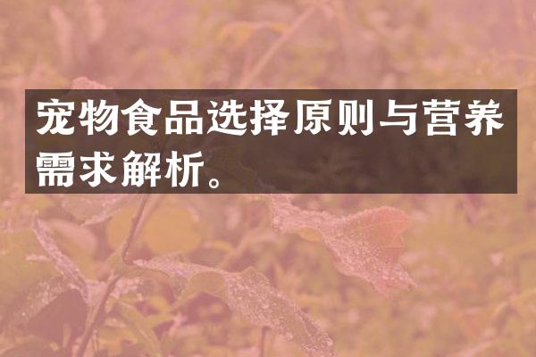 宠物食品选择原则与营养需求解析。