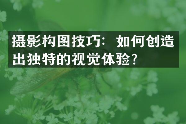 摄影构图技巧：如何创造出独特的视觉体验？