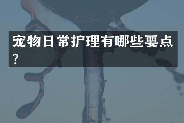 宠物日常护理有哪些要点？
