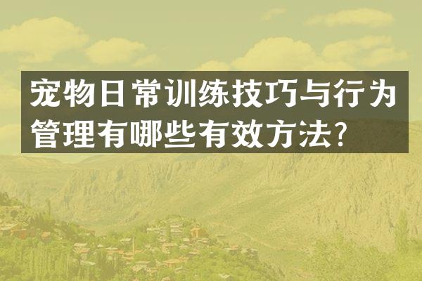 宠物日常训练技巧与行为管理有哪些有效方法？