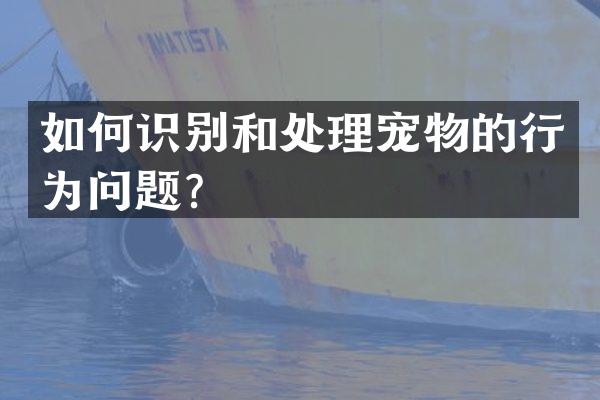 如何识别和处理宠物的行为问题？