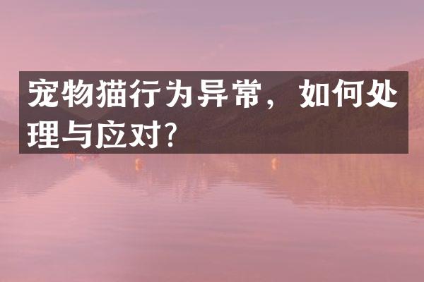 宠物猫行为异常，如何处理与应对？