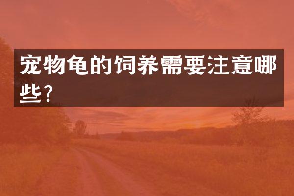 宠物龟的饲养需要注意哪些？