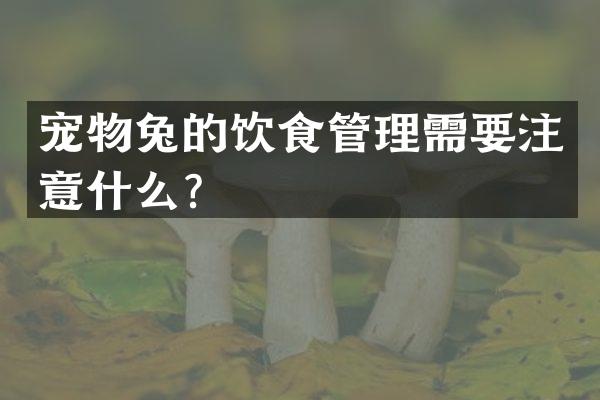 宠物兔的饮食管理需要注意什么？