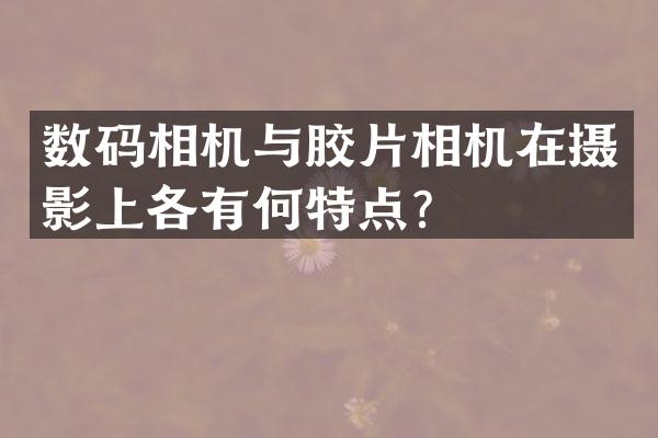 数码相机与胶片相机在摄影上各有何特点？