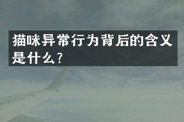 猫咪异常行为背后的含义是什么？