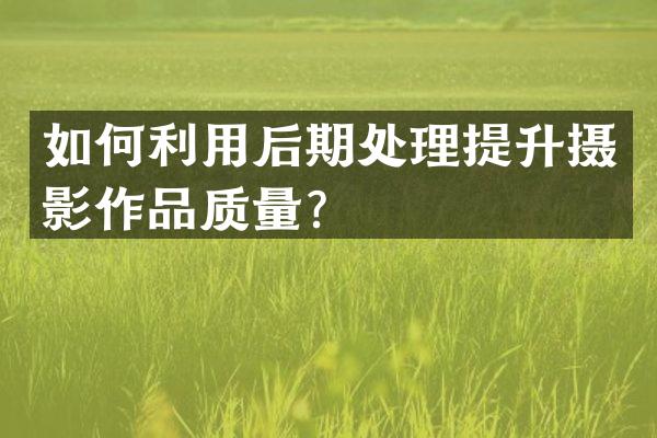 如何利用后期处理提升摄影作品质量？