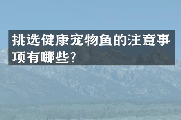 挑选健康宠物鱼的注意事项有哪些？