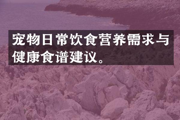 宠物日常饮食营养需求与健康食谱建议。