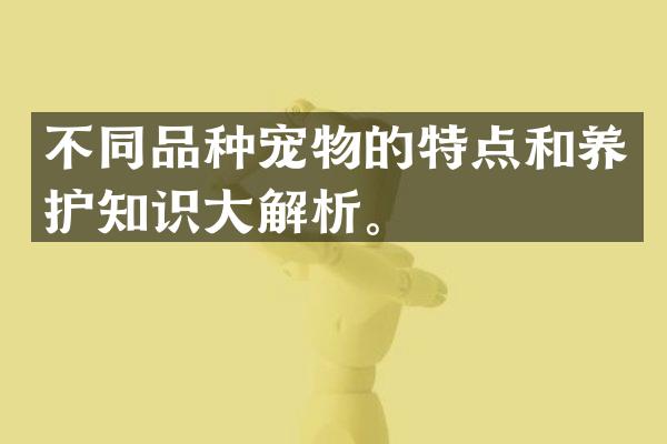 不同品种宠物的特点和养护知识大解析。