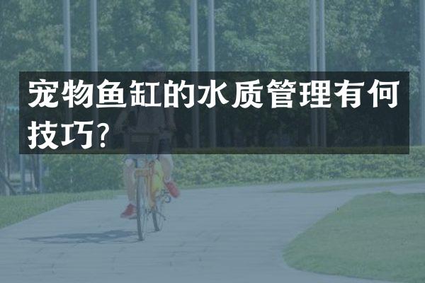 宠物鱼缸的水质管理有何技巧？
