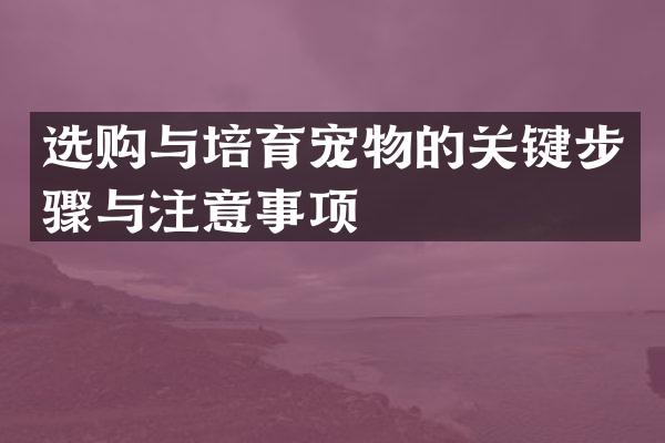 选购与培育宠物的关键步骤与注意事项