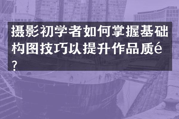 摄影初学者如何掌握基础构图技巧以提升作品质量？