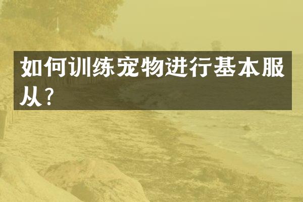 如何训练宠物进行基本服从？