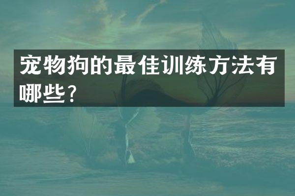 宠物狗的最佳训练方法有哪些？