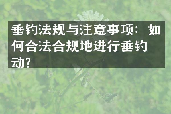 垂钓法规与注意事项：如何合法合规地进行垂钓活动？