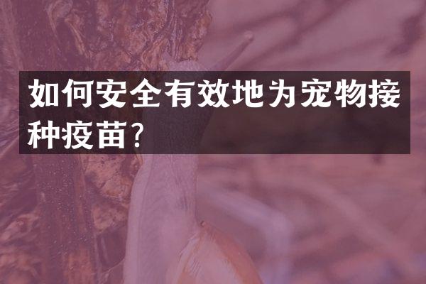 如何安全有效地为宠物接种疫苗？