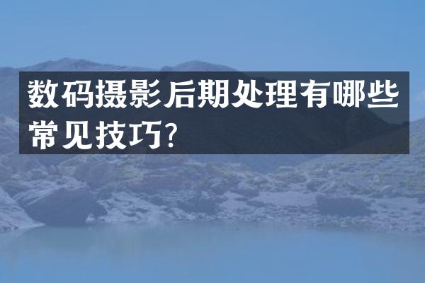 数码摄影后期处理有哪些常见技巧？