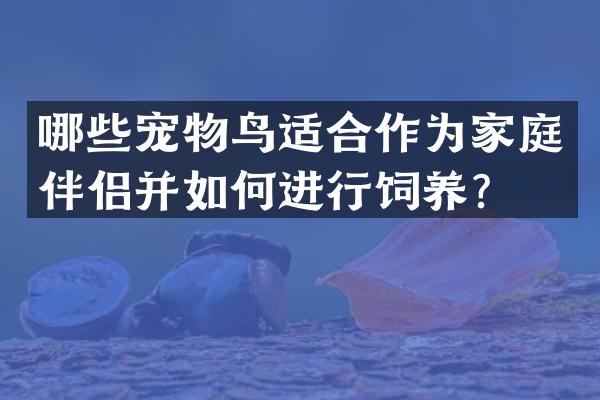 哪些宠物鸟适合作为家庭伴侣并如何进行饲养？