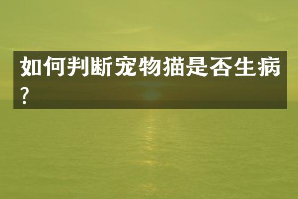 如何判断宠物猫是否生病？