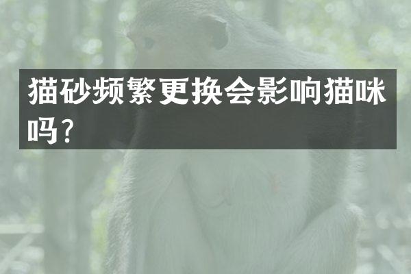 猫砂频繁更换会影响猫咪吗？