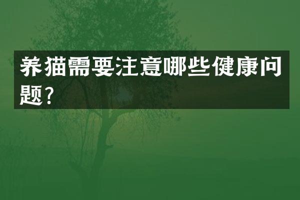 养猫需要注意哪些健康问题？
