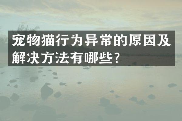 宠物猫行为异常的原因及解决方法有哪些？