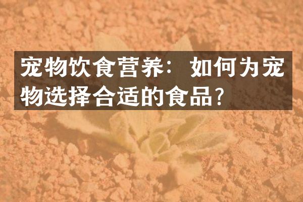宠物饮食营养：如何为宠物选择合适的食品？