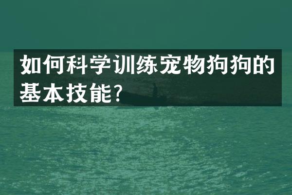 如何科学训练宠物狗狗的基本技能？