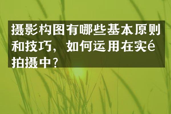 摄影构图有哪些基本原则和技巧，如何运用在实际拍摄中？